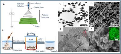 Recent Advances of SnO2-Based Sensors for Detecting Volatile Organic Compounds